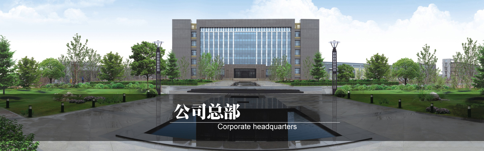 山東國(guó)新起重機(jī)械有限公司 